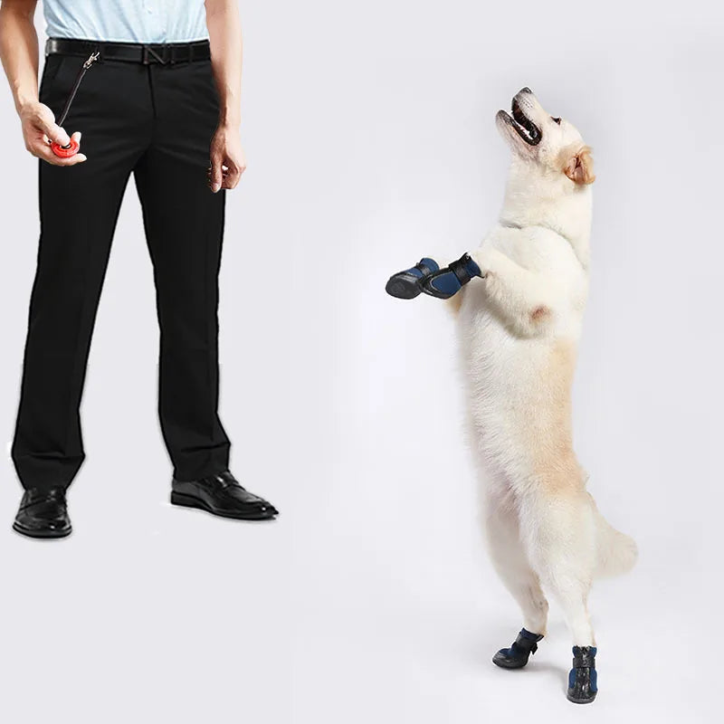Pet Cat Dog Training Clicker Plastic New Dog Click Trainer Portable Auxiliary Adjustable Wristband Sound Key Chain Pet Supplies